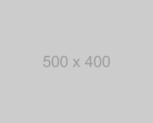 Champs de fleurs sauvages