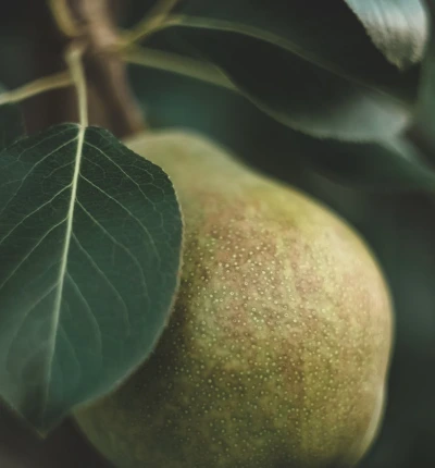 Paysage de montagne au lever du soleil